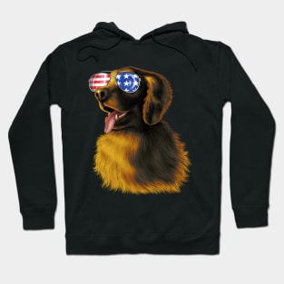 Golden Retriever American sunglasses Hoodie